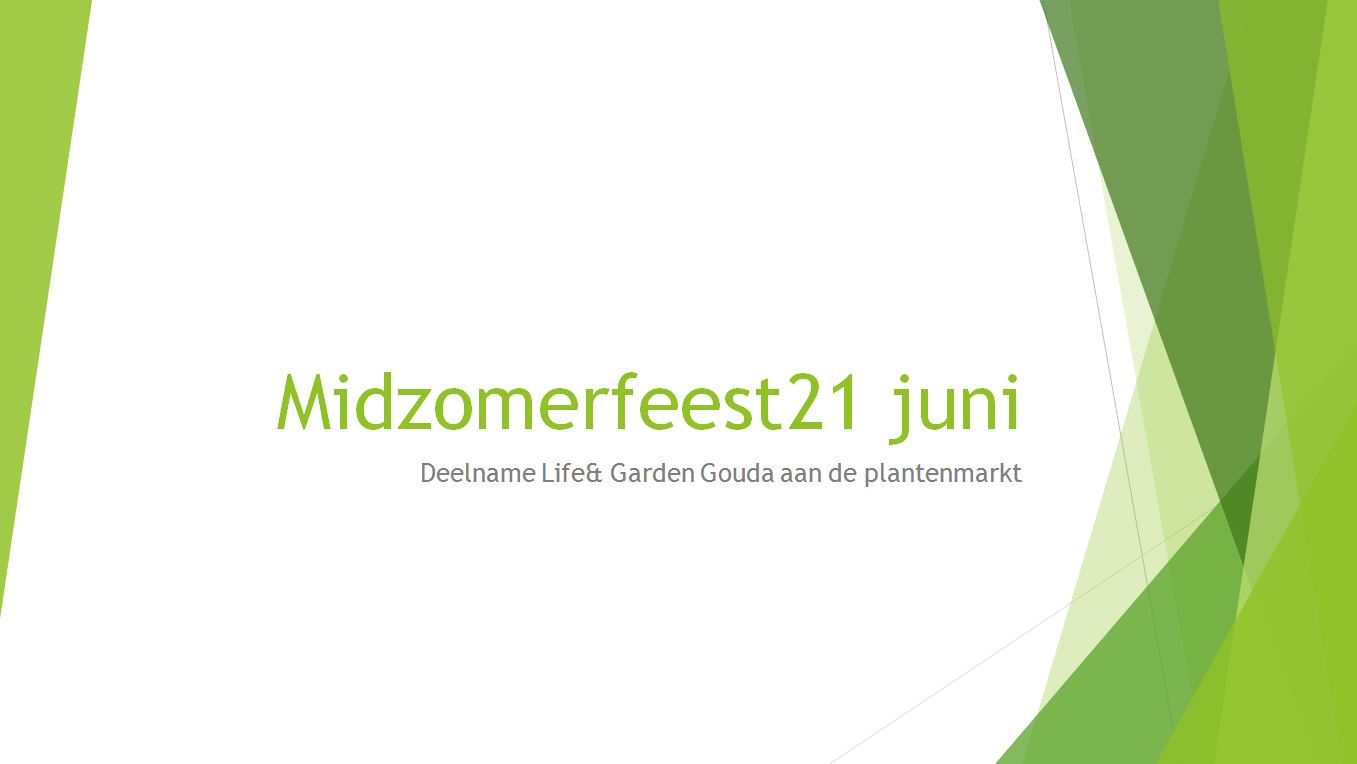 MidzomerfeestCover