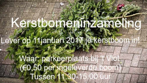 kerstbomeninzameling