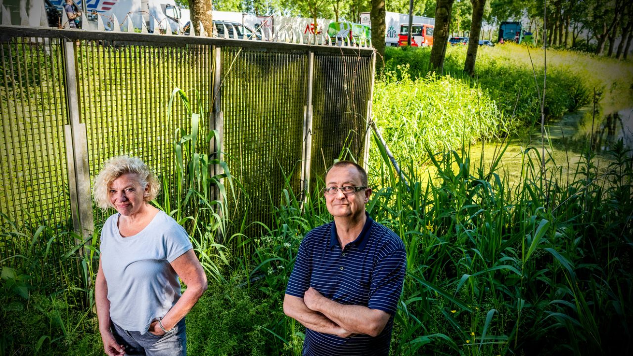 Hoge schermen, stiller asfalt? Gouwenaars die last hebben van A12 hoeven daar nog niet op te rekenen